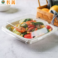 Disposable sugarcane salad bowl Eco Friendly Pulp Plate